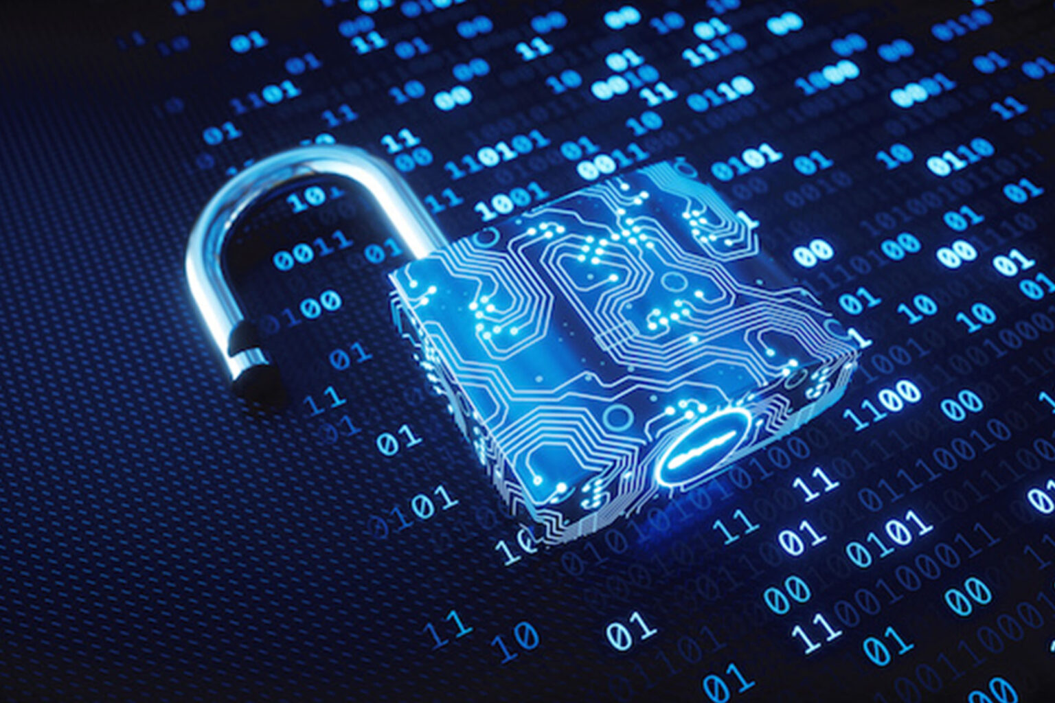 Data Leak Prevention